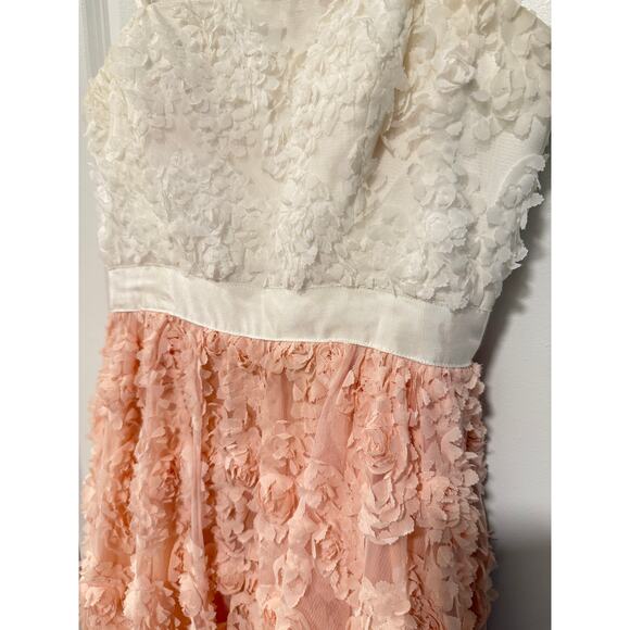 Adrianna Papell 6 Strapless Floral Applique Gown $489 Corset Dress Pink White - Picture 7 of 16